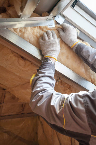 Types of Insulation We Offer in Clayton, NC