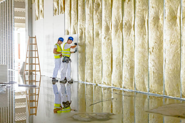 Best Fiberglass Insulation in Clayton, NC